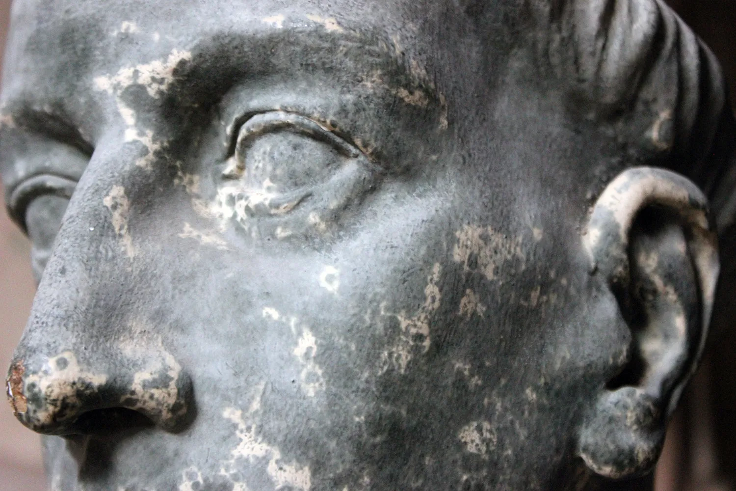 A Large 19thC Painted Plaster Portrait Library Bust of St. Francis of Assisi; Ex Milford House